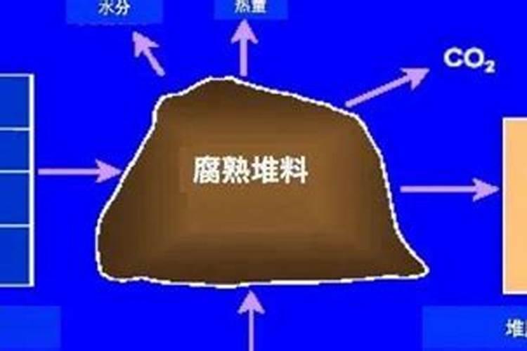 糖化硼能用在有机蔬菜上吗？