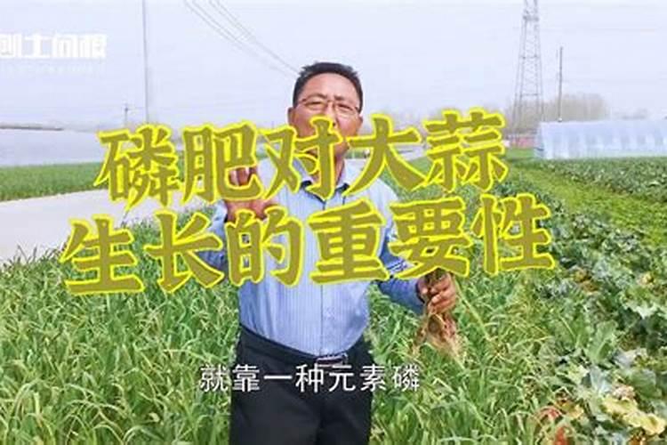 大蒜生长过程中,叶片变红用什么药比较好？