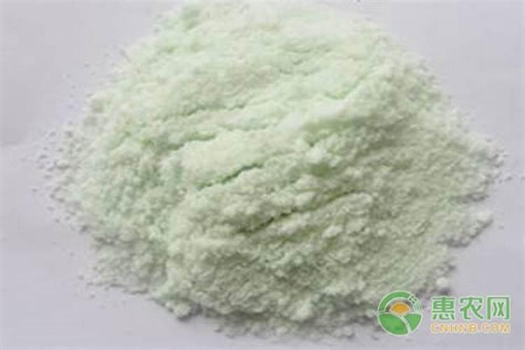 矮生小番茄几月份种植合适