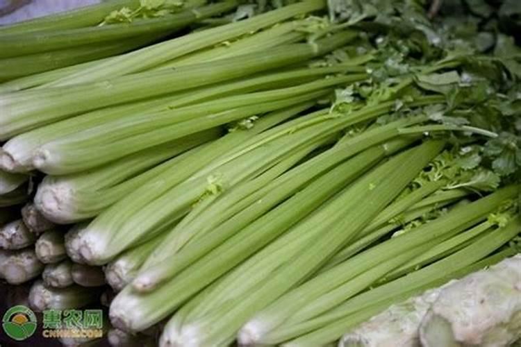 西红柿能施尿素吗