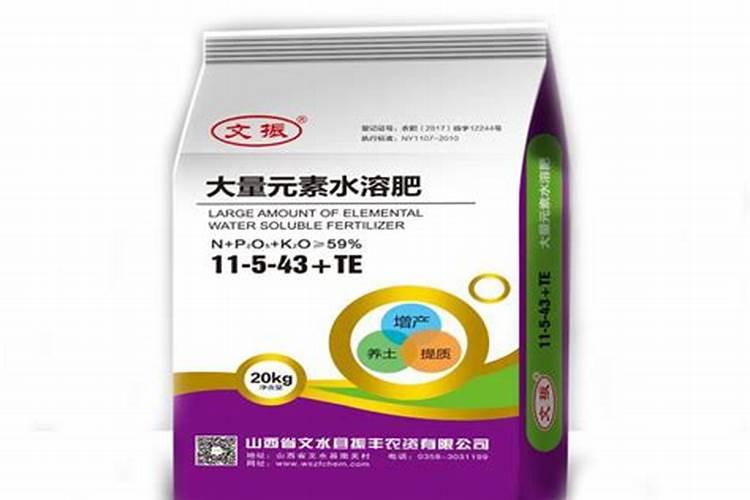 大蒜需要锌和硼肥吗？