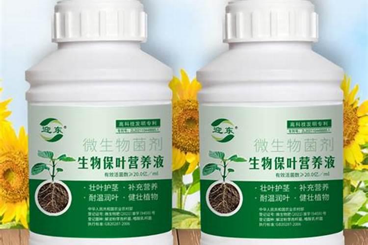 河南蔬菜基地有哪些