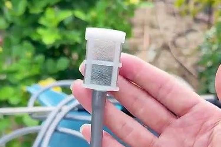 花芽分化用什么叶面肥