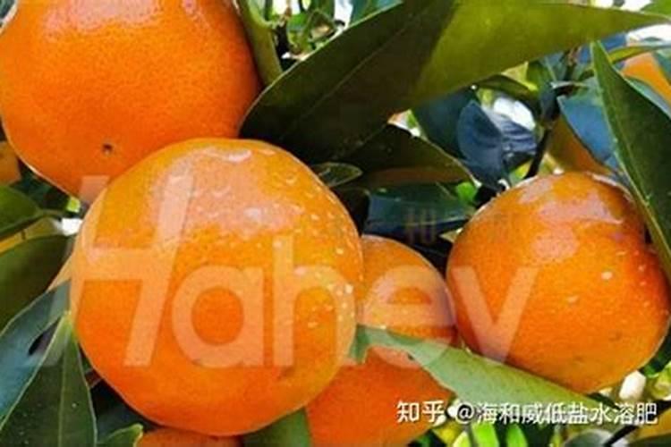 种了好多花生,用点什么肥料能长的更大,结的花生更多一点啊？