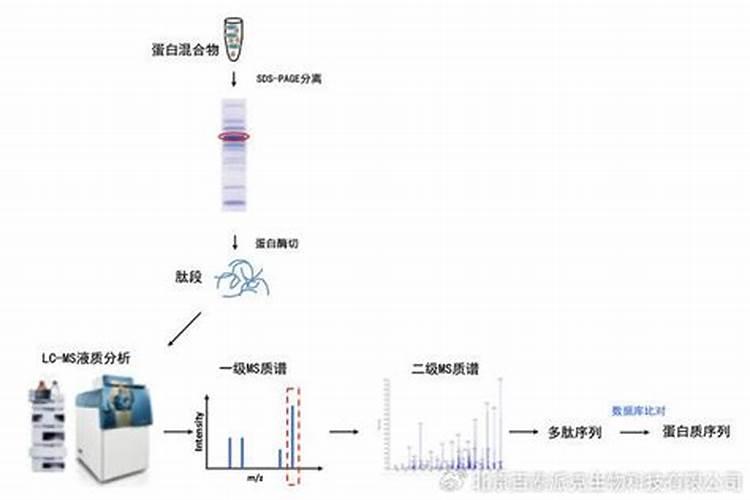 从幼苗期到结果,玉米一共要施几次肥才比较好？