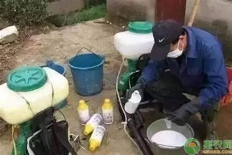 花卉的施肥技巧