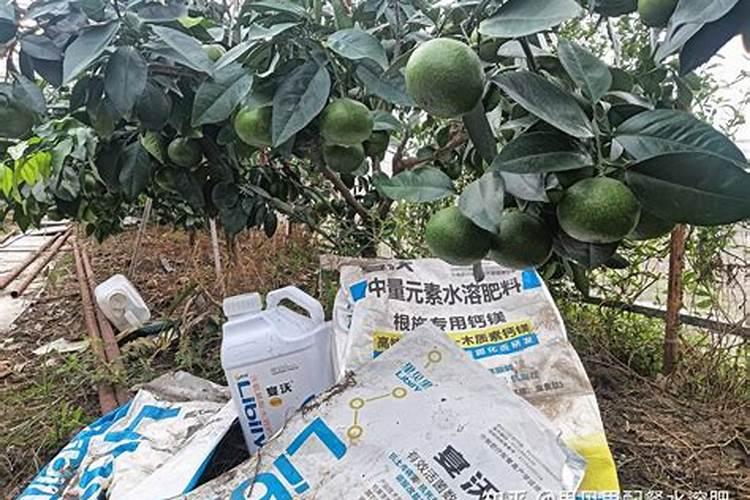 选植力康叶面钙肥、碳肥要看品牌吗？