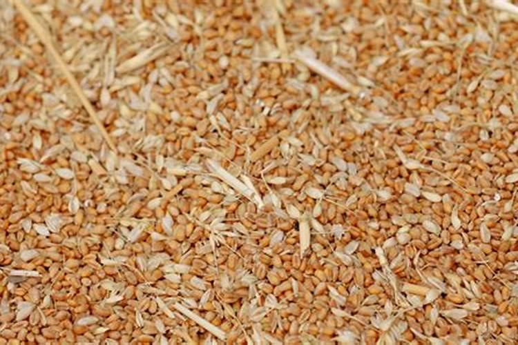 福建销售钙镁磷最多在哪里