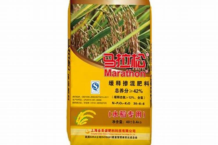 铁皮石斛用什么肥料好 怎么施肥