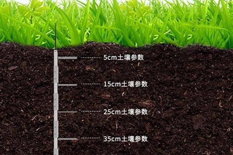 芳润的意思是什么