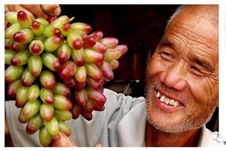 硫酸钾的用量一亩用多少 硫酸钾的用量一亩用多少合适