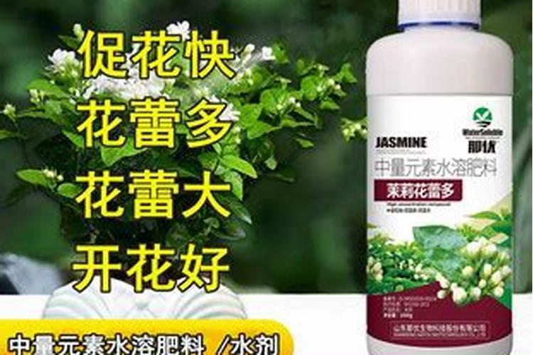 绿叶蔬菜不需要钾肥吗