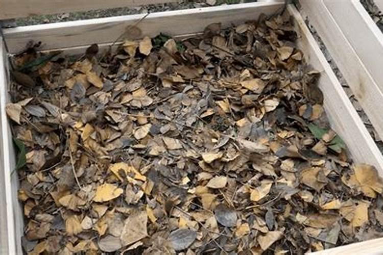 大白菜追肥用什么肥料好