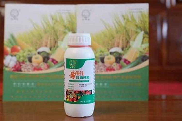 葡萄转色期,钾肥您用对了吗