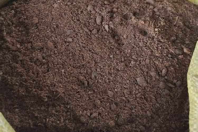 牛粪多少钱一公斤