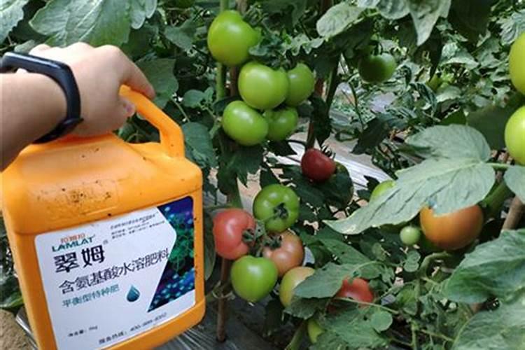 兰登国际科技有限公司怎么样