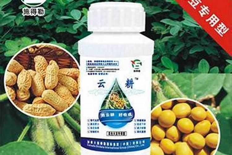 一亩地花生的投入大概多少钱？产量大概是多少(花生米)？