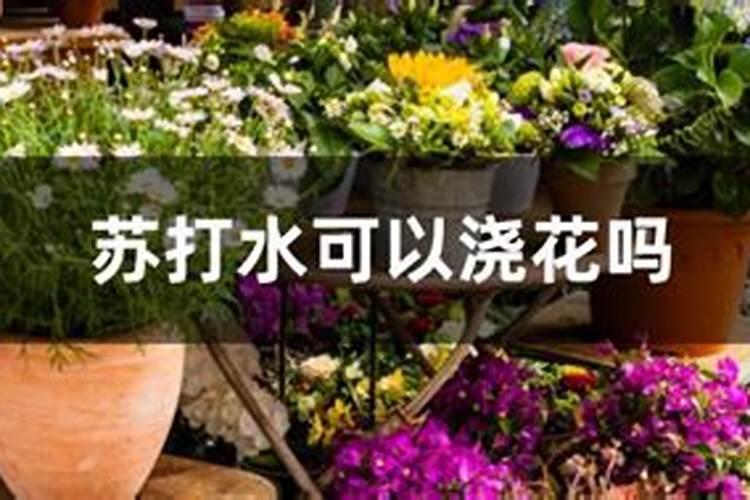 水溶肥的使用方法有哪些,中药材追施叶面肥的效果怎么样？