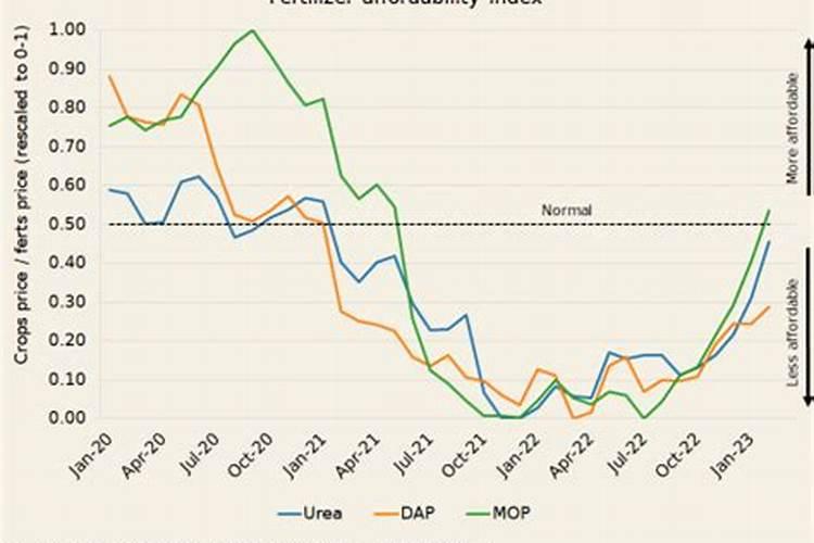 什么是复合肥价格回落
