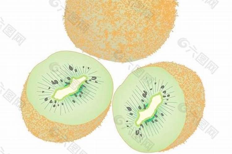 猕猴桃什么时候施磷酸二氢钾