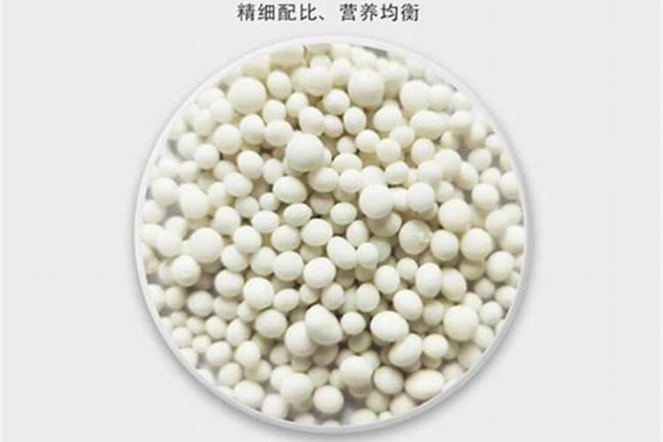 什么情况下需要喷叶面肥 绿植叶面肥施用指南