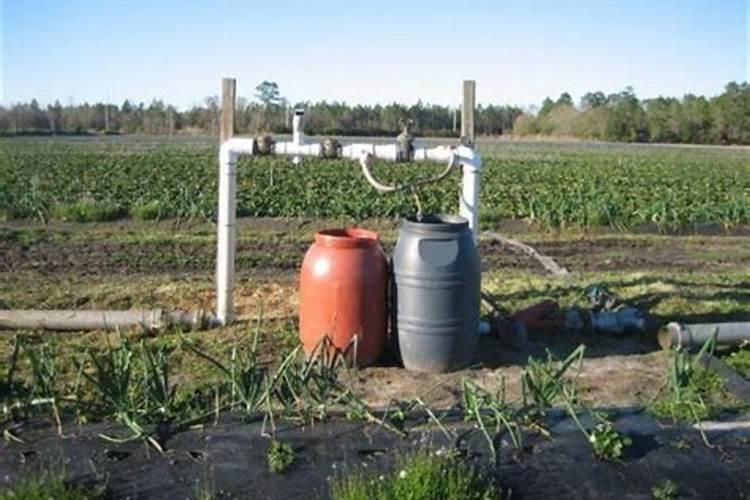 花肥种菜能不能吃