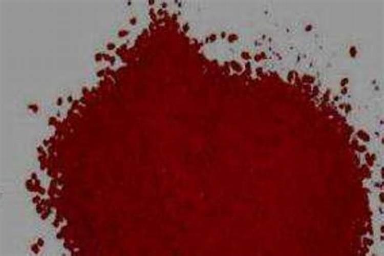 九月黄树苗最佳的种植时间？