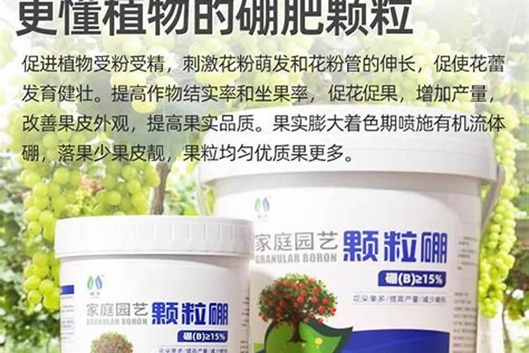 种油菜怎样施底肥