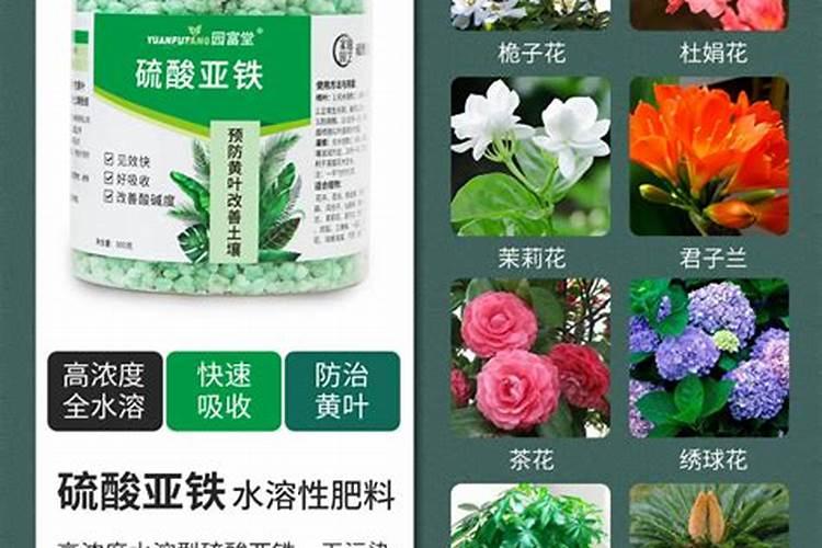养花酸性肥料有哪些