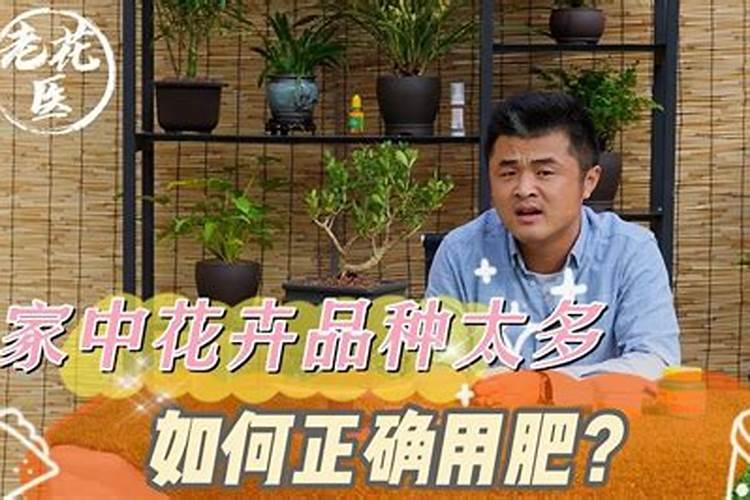 养花花肥用什么肥料好