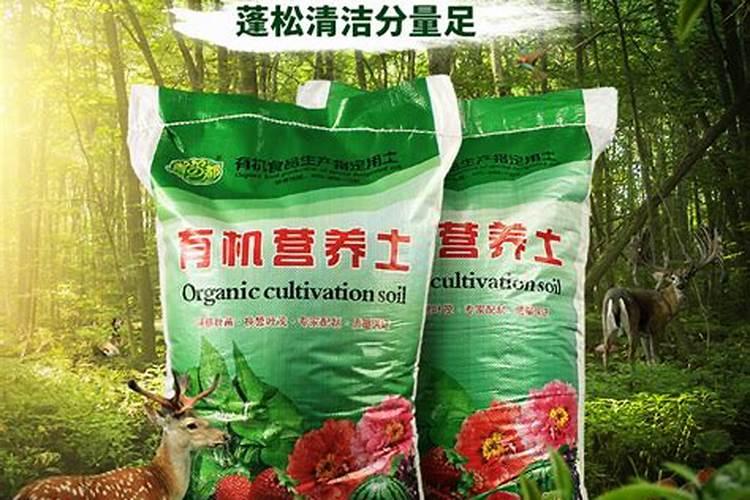 养花一般用什么肥料最好,养花用哪种肥料比较好