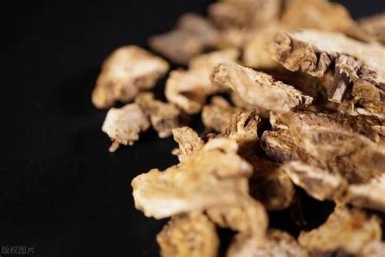 枇杷树什么时候结果