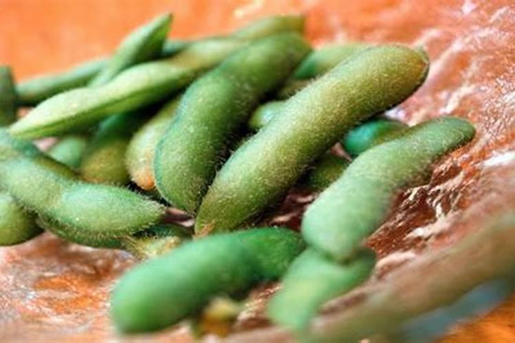 毛豆底肥施什么肥 种毛豆用什么肥料好