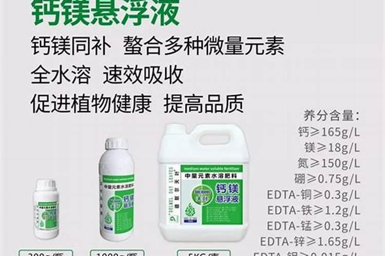 叶绿素的成分是什么,含蛋白质吗