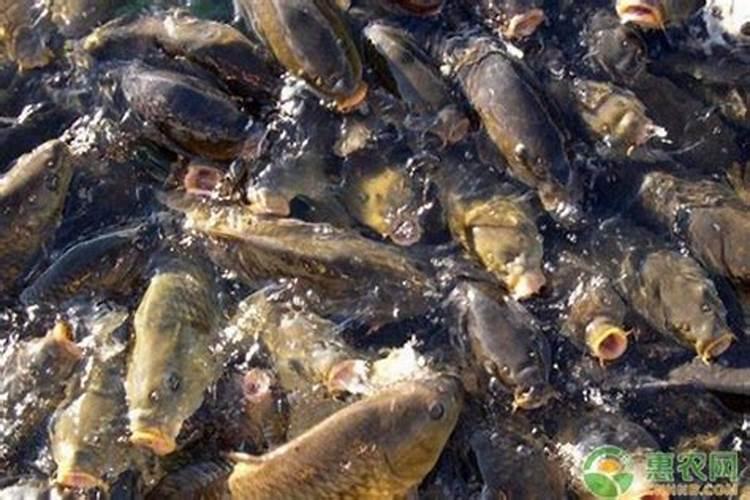 氮、磷、钾肥的作用