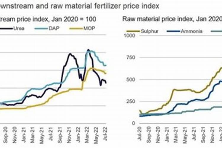 菊苣的种植方法
