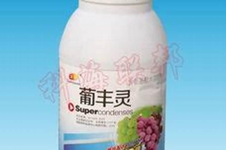 兰花喷叶面肥有哪些禁忌？