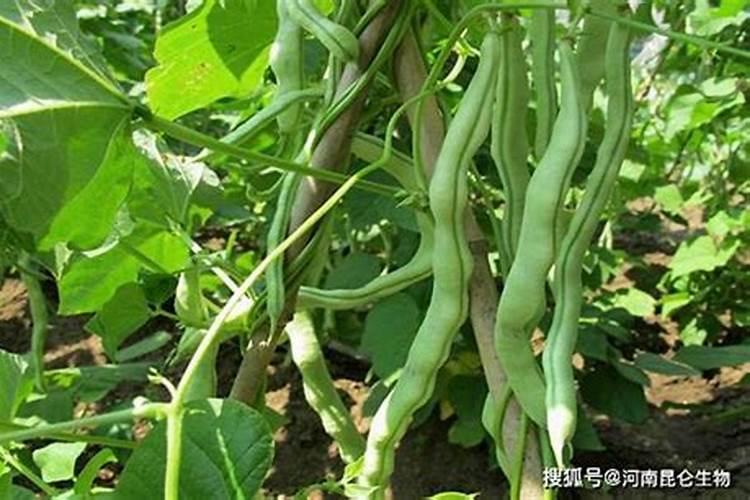 周一A股持续震荡,明天这些板块有望领涨(附股)