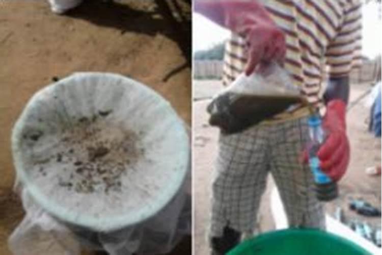 西瓜授粉后五天怎么不长