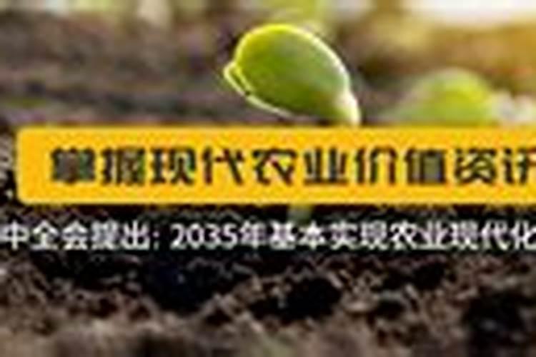 苜蓿地有很多灰菜能用什除草剂