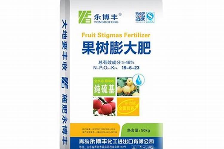 桃树膨大肥什么时候施