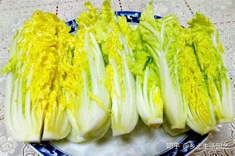 大棚蔬菜种植技术