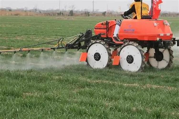 种白花三叶草除杂草应该怎么做 几天发芽