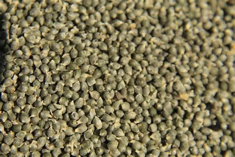 济宁南风花园学区划分