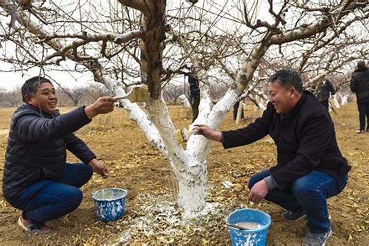如何区别水溶肥好坏？