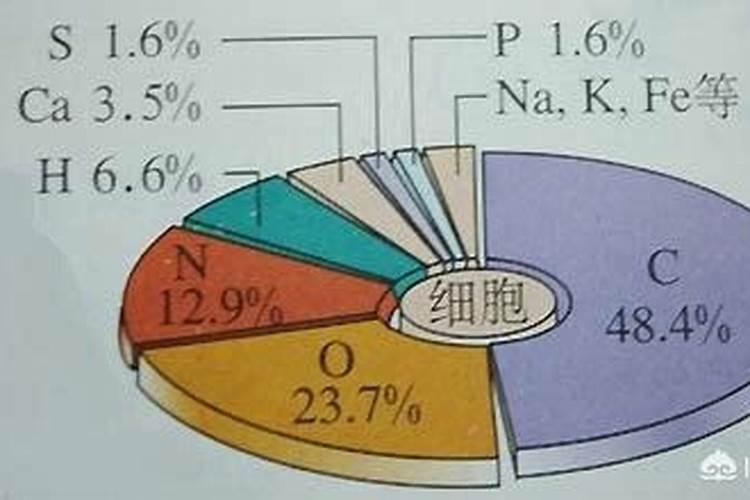 铁生锈的化学方程式和现象