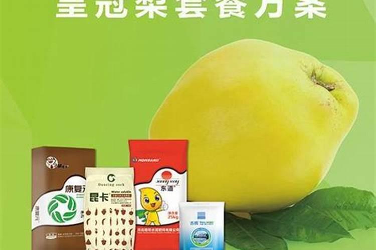 皇冠梨鸡爪病最新方法