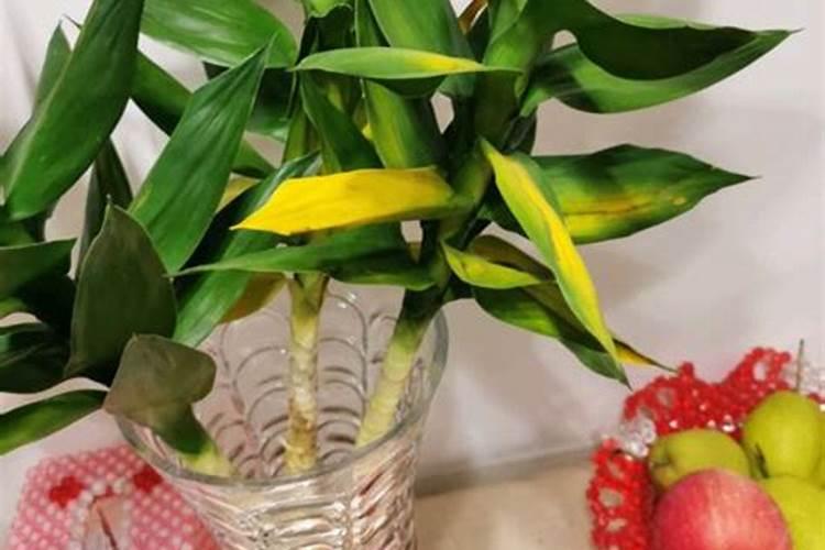 请问植物生长需要氮,那么给盆栽里直接加氮行不行,如何加