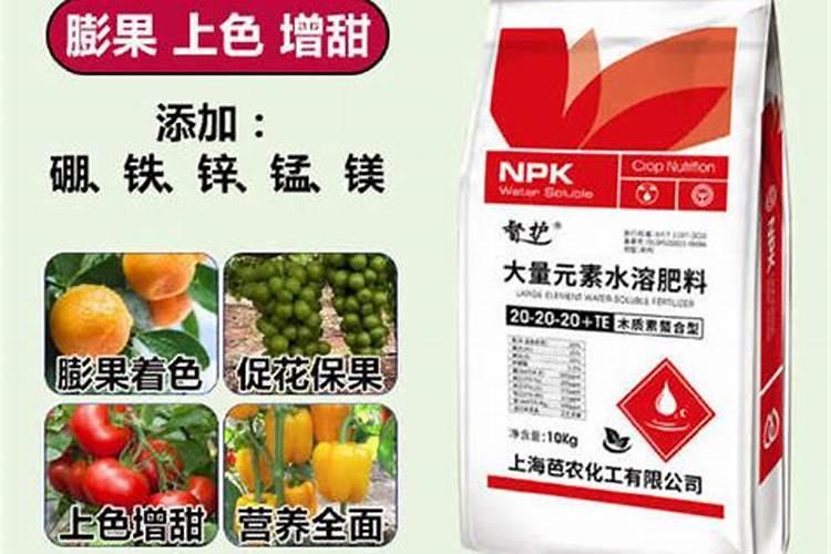 在养花时如何使用磷肥