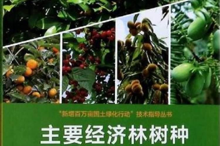 土壤肥力的影响因素